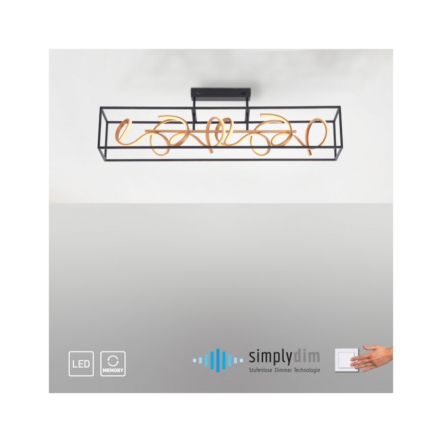 Paul Neuhaus 6473-18 - LED Stmívatelný lustr na tyči SELINA 4xLED/10,2W/230V