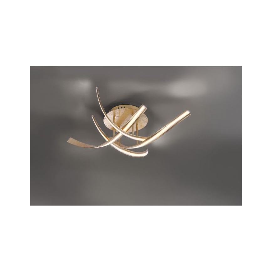 Paul Neuhaus 6474-12 - LED Stmívatelný přisazený lustr LINDA 4xLED/7W/230V