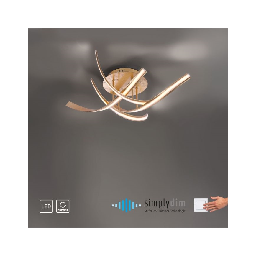 Paul Neuhaus 6474-12 - LED Stmívatelný přisazený lustr LINDA 4xLED/7W/230V