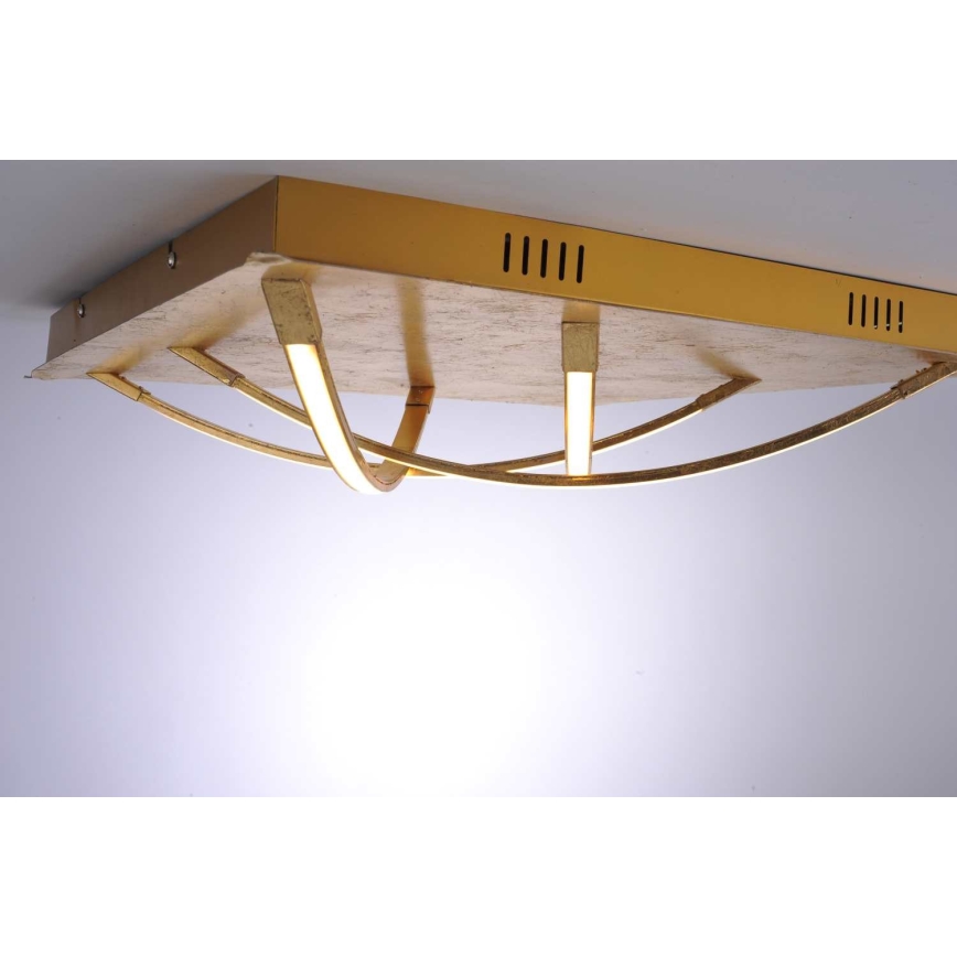 Paul Neuhaus 6544-12 - LED Stropní svítidlo JANO 4xLED/10W/230V