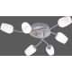 Paul Neuhaus 6563-55 - LED Přisazený lustr ANASTASIA 6xLED/3W/230V
