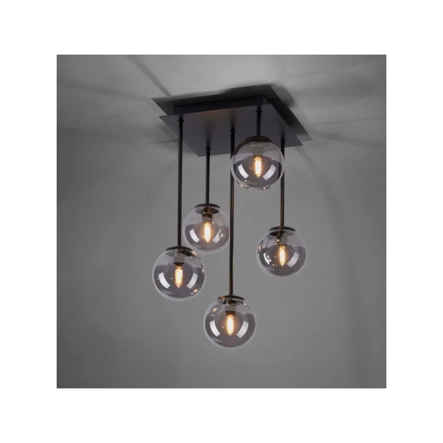 Paul Neuhaus 6719-18 - LED Lustr na tyči WIDOW 5xG9/3W/230V