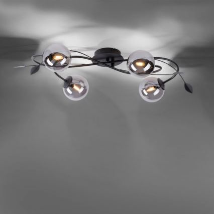 Paul Neuhaus 6724-18 - LED Přisazený lustr WIDOW 4xG9/3W/230V