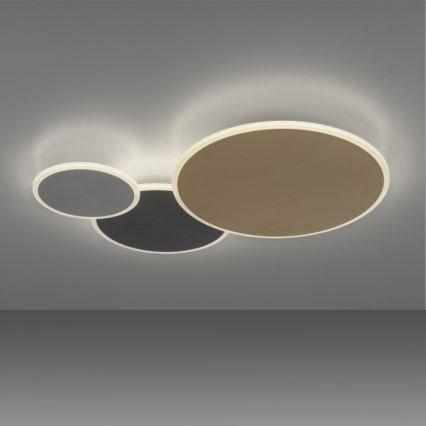 Paul Neuhaus 8007-70 - LED Stmívatelné stropní svítidlo Q-PIATO LED/35W/230V 2700-5000K Wi-Fi + dálkové ovládání