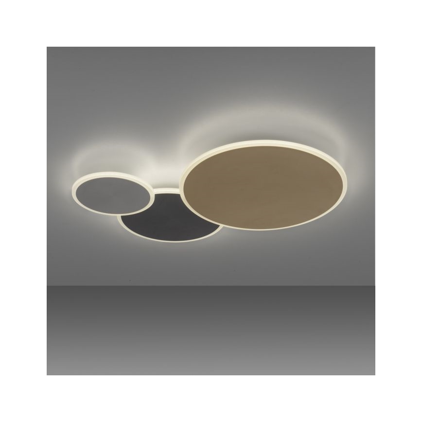 Paul Neuhaus 8007-70 - LED Stmívatelné stropní svítidlo Q-PIATO LED/35W/230V 2700-5000K Wi-Fi + dálkové ovládání