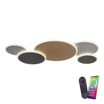 Paul Neuhaus 8008-70 - LED Stmívatelné stropní svítidlo Q-PIATO LED/49W/230V 2700-5000K Wi-Fi + dálkové ovládání