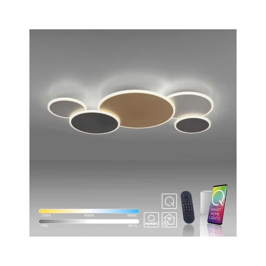 Paul Neuhaus 8008-70 - LED Stmívatelné stropní svítidlo Q-PIATO LED/49W/230V 2700-5000K Wi-Fi + dálkové ovládání