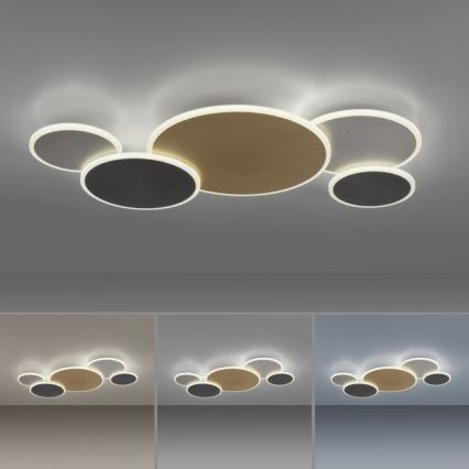Paul Neuhaus 8008-70 - LED Stmívatelné stropní svítidlo Q-PIATO LED/49W/230V 2700-5000K Wi-Fi + dálkové ovládání