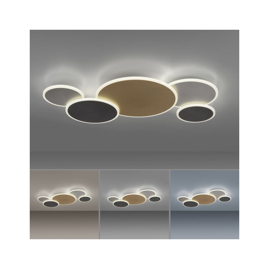 Paul Neuhaus 8008-70 - LED Stmívatelné stropní svítidlo Q-PIATO LED/49W/230V 2700-5000K Wi-Fi + dálkové ovládání