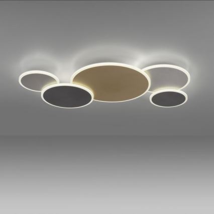 Paul Neuhaus 8008-70 - LED Stmívatelné stropní svítidlo Q-PIATO LED/49W/230V 2700-5000K Wi-Fi + dálkové ovládání