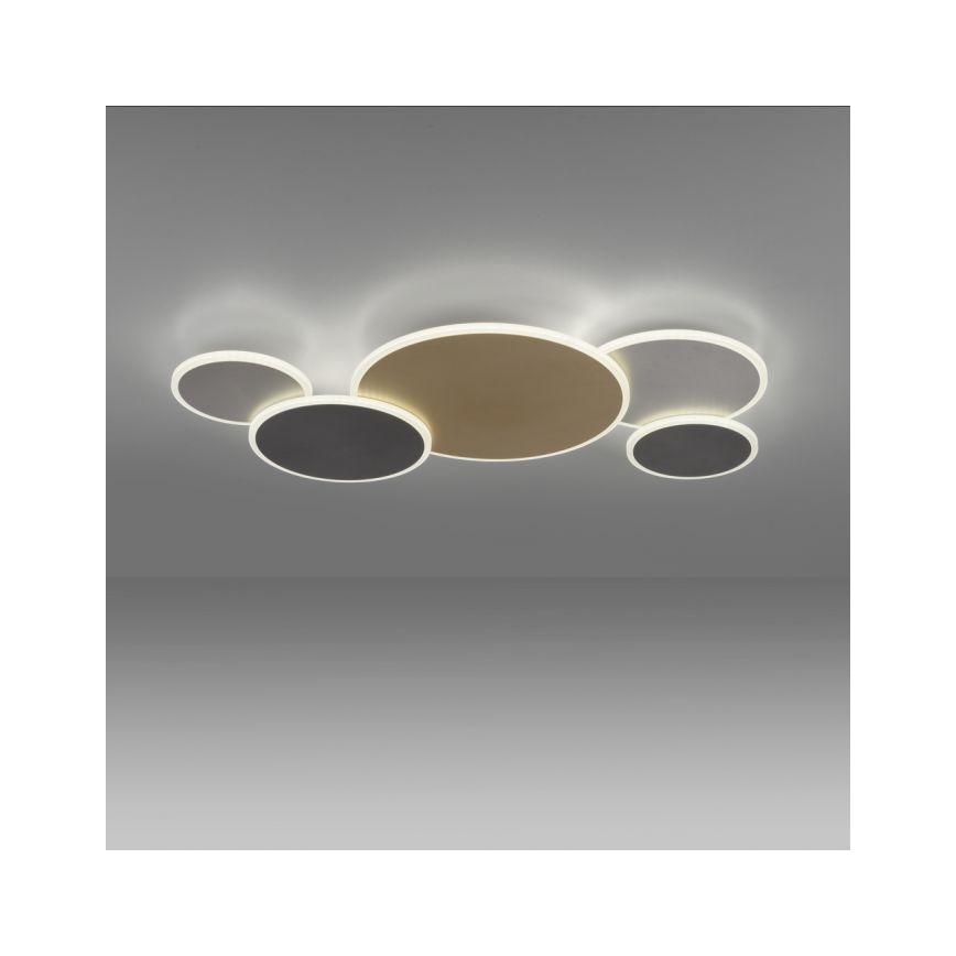Paul Neuhaus 8008-70 - LED Stmívatelné stropní svítidlo Q-PIATO LED/49W/230V 2700-5000K Wi-Fi + dálkové ovládání