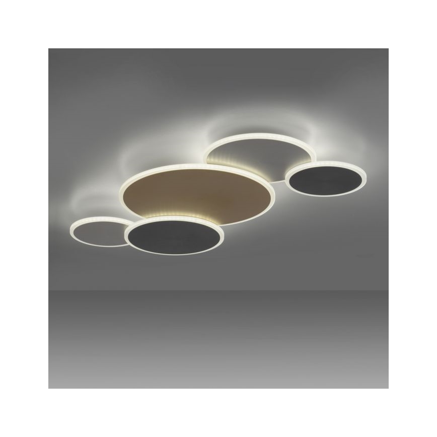 Paul Neuhaus 8008-70 - LED Stmívatelné stropní svítidlo Q-PIATO LED/49W/230V 2700-5000K Wi-Fi + dálkové ovládání