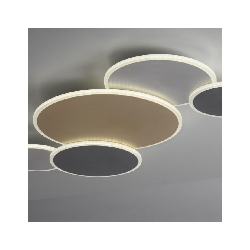 Paul Neuhaus 8008-70 - LED Stmívatelné stropní svítidlo Q-PIATO LED/49W/230V 2700-5000K Wi-Fi + dálkové ovládání