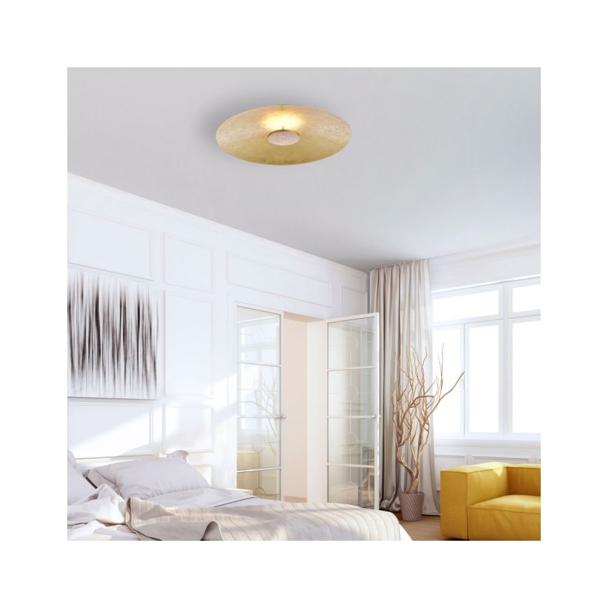 Paul Neuhaus 8132-12 - LED Stmívatelné stropní svítidlo PLATE LED/25W/230V