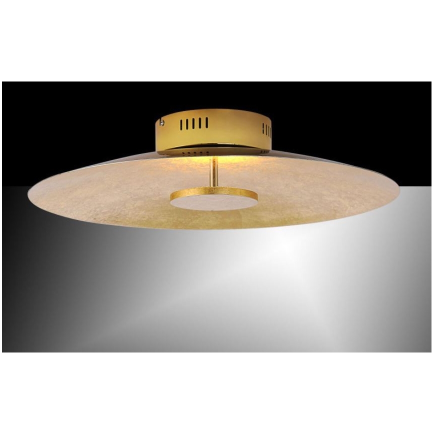 Paul Neuhaus 8132-12 - LED Stmívatelné stropní svítidlo PLATE LED/25W/230V