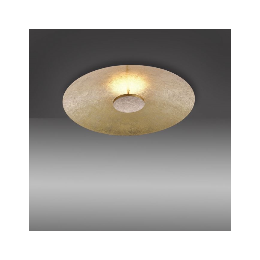 Paul Neuhaus 8132-12 - LED Stmívatelné stropní svítidlo PLATE LED/25W/230V