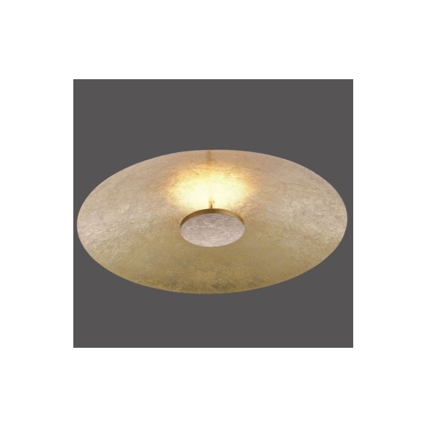 Paul Neuhaus 8132-12 - LED Stmívatelné stropní svítidlo PLATE LED/25W/230V