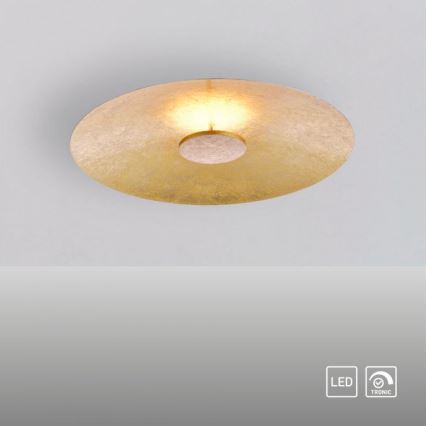 Paul Neuhaus 8132-12 - LED Stmívatelné stropní svítidlo PLATE LED/25W/230V
