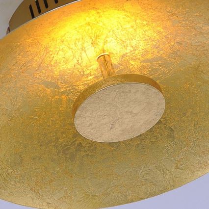 Paul Neuhaus 8132-12 - LED Stmívatelné stropní svítidlo PLATE LED/25W/230V