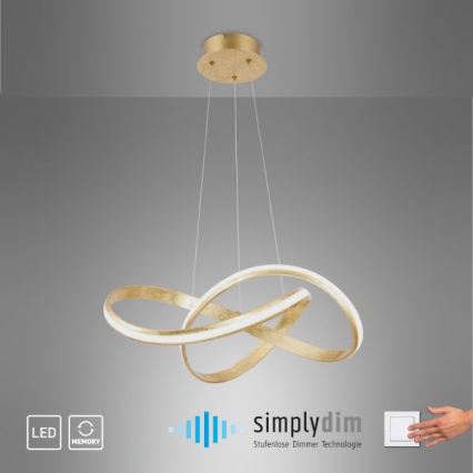 Paul Neuhaus 8291-12 - LED Stmívatelný lustr na lanku MELINDA LED/30W/230V