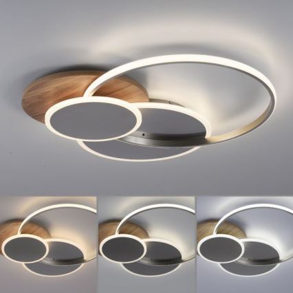 Paul Neuhaus 8328-79 - LED Stmívatelné stropní svítidlo PALMA LED/50W/230V 2700-5000K borovice + dálkové ovládání