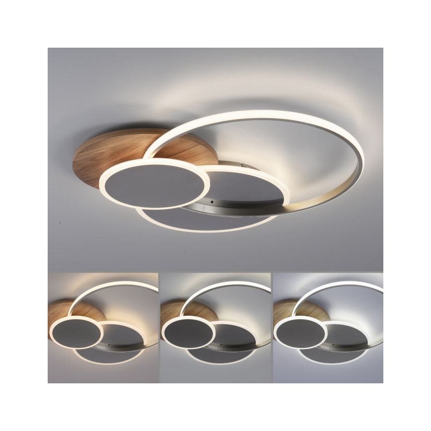 Paul Neuhaus 8328-79 - LED Stmívatelné stropní svítidlo PALMA LED/50W/230V 2700-5000K borovice + dálkové ovládání