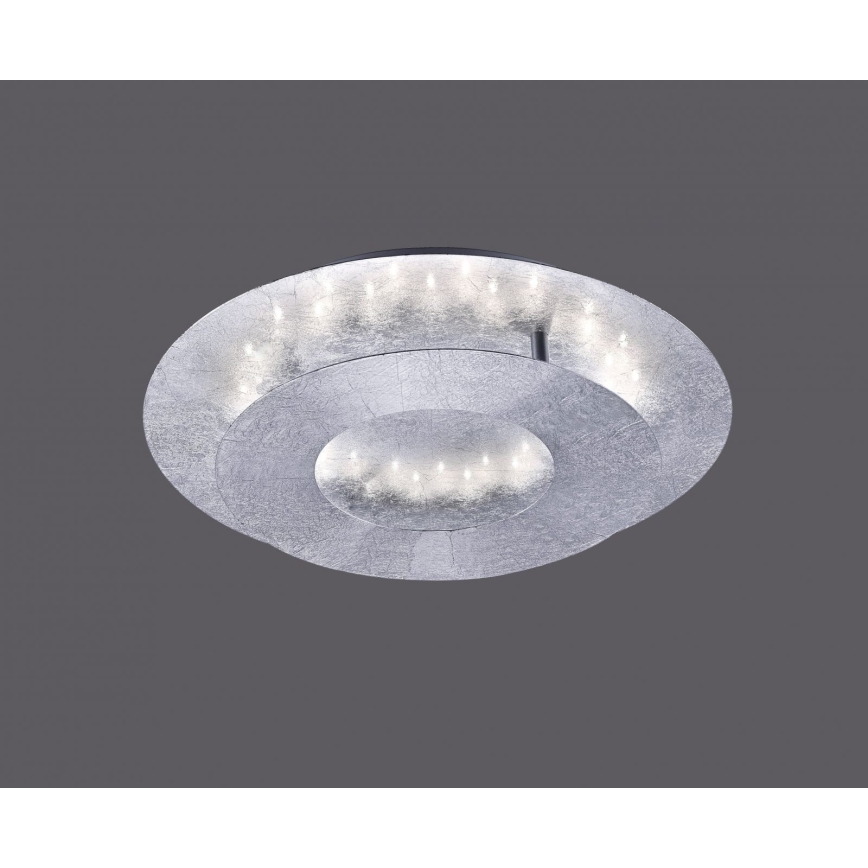 Paul Neuhaus 9011-21 - LED Stropní svítidlo NEVIS LED/6W/230V stříbrná
