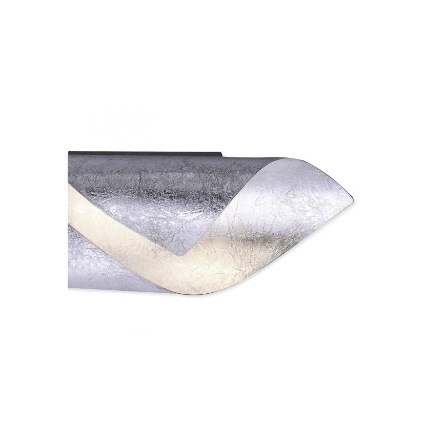 Paul Neuhaus 9030-21 - LED Nástěnné svítidlo NEVIS LED/6W/230V stříbrná
