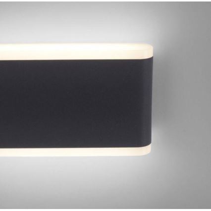 Paul Neuhaus 9483-13 - LED Venkovní nástěnné svítidlo ELSA 2xLED/5,4W/230V IP65