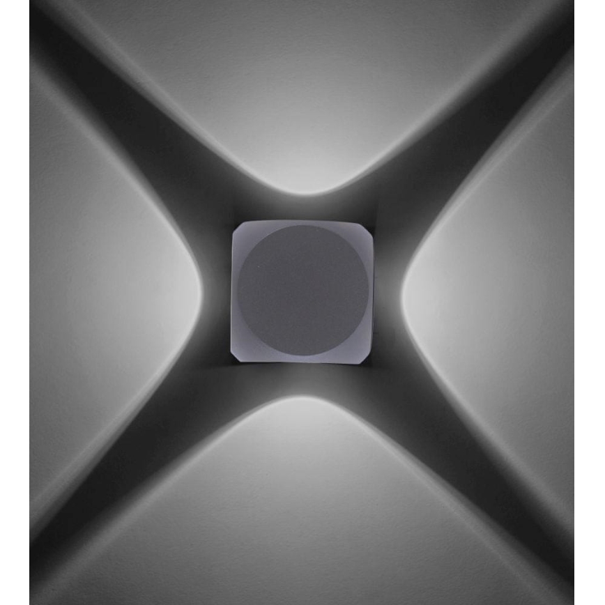 Paul Neuhaus 9485-21 - LED Venkovní nástěnné svítidlo CARLO 4xLED/0,8W/230V IP54