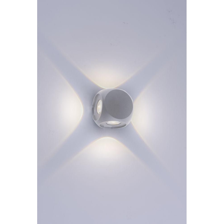 Paul Neuhaus 9485-21 - LED Venkovní nástěnné svítidlo CARLO 4xLED/0,8W/230V IP54