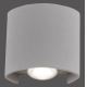 Paul Neuhaus 9486-21 - LED Venkovní nástěnné svítidlo CARLO 2xLED/1,7W/230V IP54