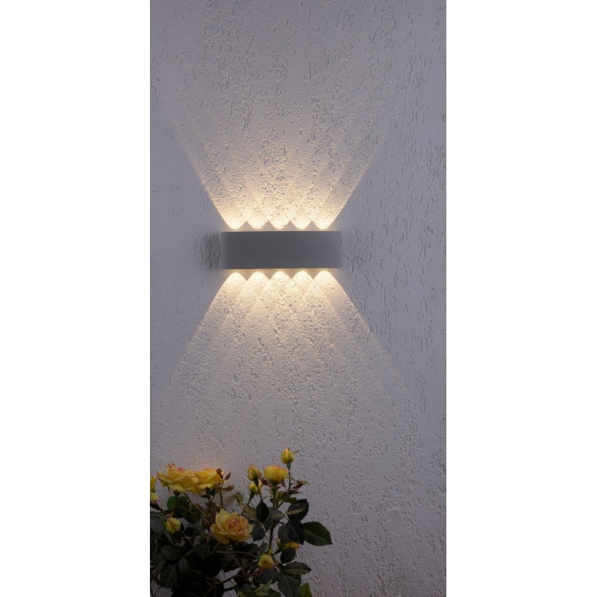 Paul Neuhaus 9489-21 - LED Venkovní nástěnné svítidlo CARLO 10xLED/0,8W/230V IP54