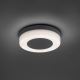 Paul Neuhaus 9490-13 - LED Venkovní svítidlo FABIAN LED/12,6W/230V IP54