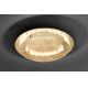 Paul Neuhaus 9621-12 - LED Stropní svítidlo NEVIS LED/24W/230V