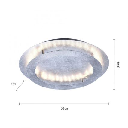 Paul Neuhaus 9621-21 - LED Stropní svítidlo NEVIS LED/24W/230V