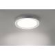 Paul Neuhaus 16480-17 - LED RGB Koupelnové stropní svítidlo DS-LARS LED/28W/230V IP44 + dálkové ovládání