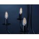 Paulmann 55220 - Stmívatelná dekorativní žárovka RUSTICA E14/25W/230V svíčka 2000K