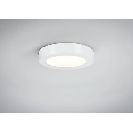 Paulmann 70642 - LED/12,5W Stropní svítidlo LUNAR 230V pr. 22,5 cm bílá