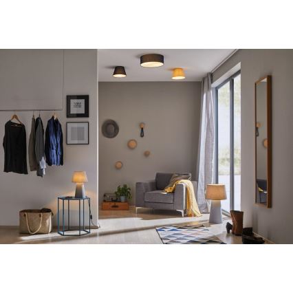 Paulmann 70949 - 1xE14/20W Stropní svítidlo MEA 230V
