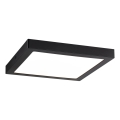 Paulmann 70985 - LED/22W Stropní svítidlo ABIA 230V