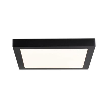 Paulmann 70985 - LED/22W Stropní svítidlo ABIA 230V