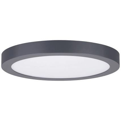 Paulmann 70988 - LED/22W Stropní svítidlo ABIA 230V antracit