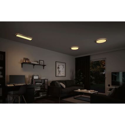 Paulmann 71003 - LED/22W Stmívatelný panel ATRIA 230V 3000K 20x58 cm černá