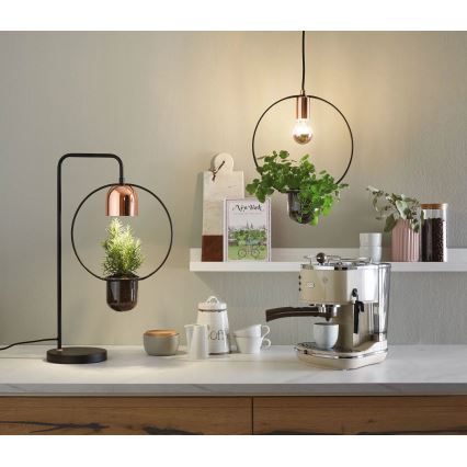 Paulmann 79746 - 1xGU10/20W Stolní lampa FANJA 230V kouřová