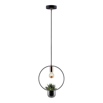 Paulmann 79748 - 1xE27/20W Lustr na lanku TASJA 230V