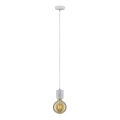 Paulmann 79750 - 1xE27/20W Lustr na lanku NORDIN 230V