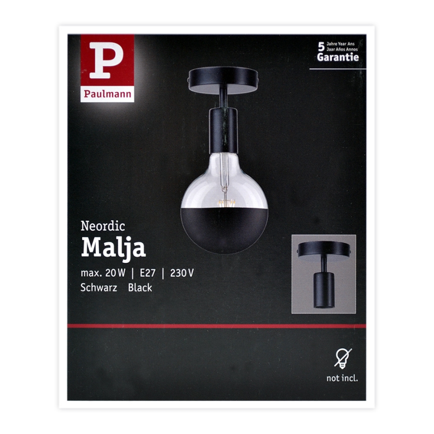 Paulmann 79760 - Stropní svítidlo HALDOR 1xE27/20W/230V