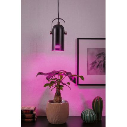 Paulmann 79766 - LED RGBW 1xE27/9W Lustr na lanku LAVEA 230V černá