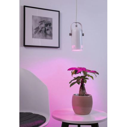 Paulmann 79767 - LED RGBW 1xE27/9W Lustr na lanku LAVEA 230V bílá